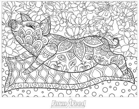 form  feed coloring contest form  feed
