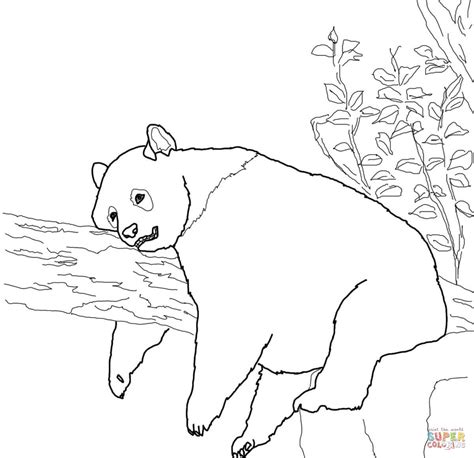 panda printable coloring pages