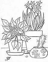 Colorear Macetas Flowerpot Picasaweb sketch template
