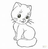 Coloring Pages Cute Cat Printable Cats Color Warrior Kitty Colouring Getcolorings Print Getdrawings Colorings sketch template