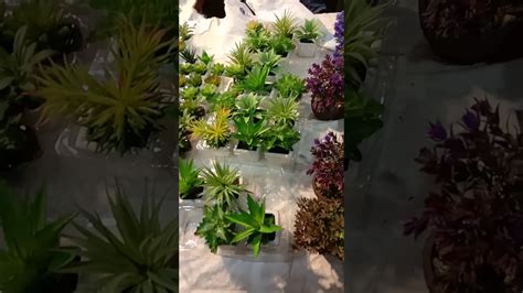 artificial plants youtube