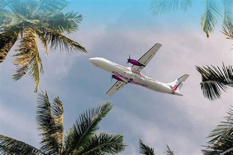 caribbean airlines to launch barbados dominica flights sept 19 routes