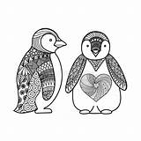 Penguin Pinguin Penguins Pinguini Progettazione Scarabocchiano Pinguino Maglietta Pingouin Depositphotos sketch template