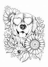 Golden Retriever Canine sketch template