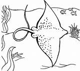 Stingray Coloring Pages Ocean Big sketch template