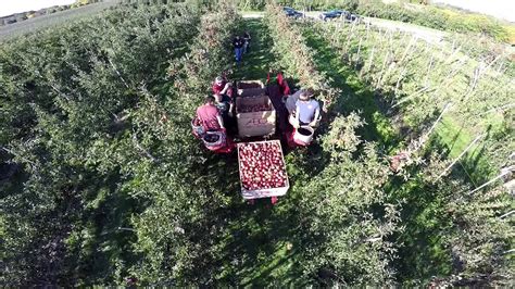 fruit harvesting platform view   drone youtube