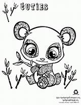 Panda Coloring Printable Pages Popular sketch template