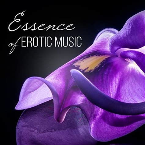 essence of erotic music intimate moments hot foreplay love making
