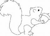 Acorn Squirrel sketch template