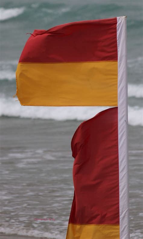 surf flags surfing flag beach