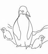 Kolorowanka Pingwiny Adeli Tots Druku Momjunction Pinguim Penguins Pokoloruj sketch template
