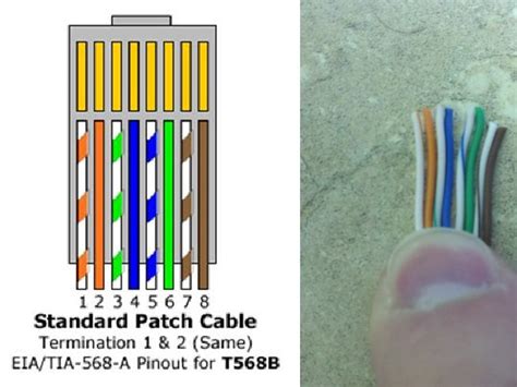 cat patch cable networking spiceworks