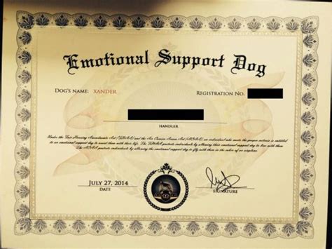 register  dog  emotional support animal certificate veterinary hub