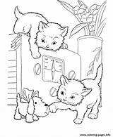 Coloring Kittens Cat Kids Pages Printable Color Print Book sketch template