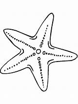 Starfish Coloring Pages Fish Printable sketch template