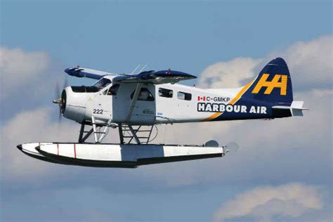 disaffected lib harbour air  gasp electric