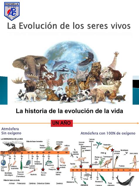 30183487 La Evolucion De Los Seres Vivos Ppt Ciencias De La Tierra Y