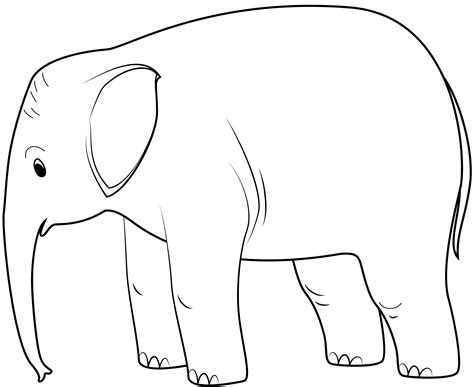 baby elephant outline template