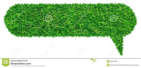 de groene bel van de toespraak van het gras stock foto image  bloemen seizoen