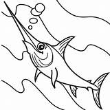 Zwaardvis Swordfish Schwertfisch Kleurplaten Marlin Kleurplaat Codes Insertion sketch template