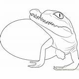 Crocodile Coloring Hatchling Baby Pages Coloringpages101 sketch template