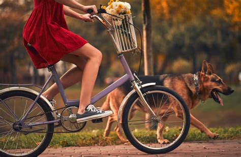 biciklizni  kutyaval tilos dogbible