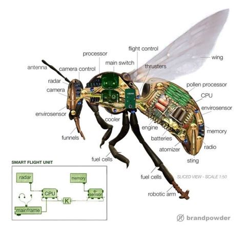 voci dalla strada svelati  droni spia delle dimensioni   insetto