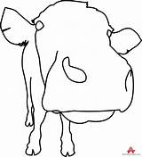 Cow Cows Clipartmag sketch template