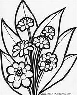 Coloring Flowers Pages Flower Large Adults sketch template