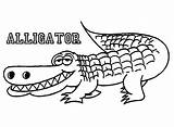 Alligator Coloring Pages Crocodile Drawing Printable Outline Alligators Florida Cute Gators Color Kids Print Gator Line Toddlers Book Getdrawings Getcolorings sketch template