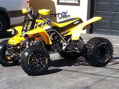 Tricked Out Bumble Bee