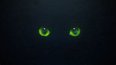 green eyes cat eyes black shiny cat stone graphic