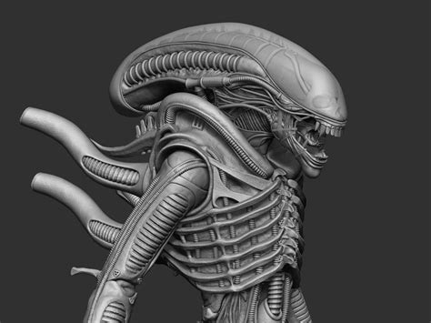 alien xenomorph big chap for 3d printing 3d model 3d printable cgtrader