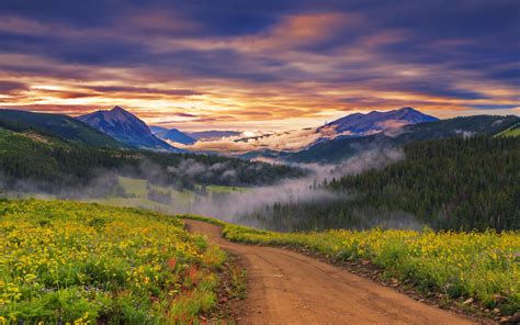 landscape nature mountain meadow  flowers herbs country road forest  pine trees vapor