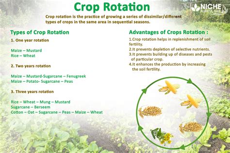 Crop Rotation Importantcomponent Of Organic Farming Niche Agriculture