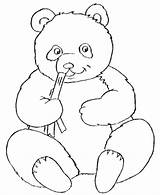 Panda Outline Clipart Coloring Pages Clip Library Bear sketch template
