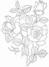 Embroidery Patterns Hand Designs Flower Rose Pattern Flowers Vintage Large Printables Paper Line Coloring Drawing Sewing Floral Pages Pillowcase Glass sketch template