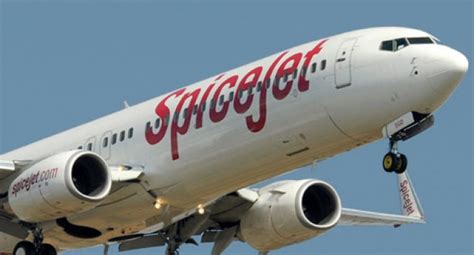 spicejet marans fly out ajay singh checks in to lead