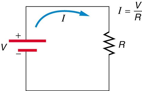 electrical potential introductory animal physiology