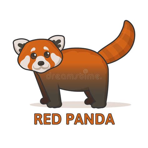 red panda vector illustration stock photo illustration  cute panda