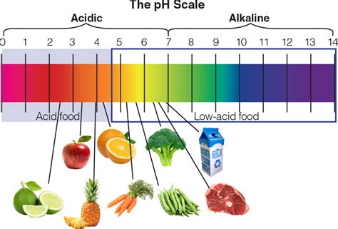 ph measurement  pickled fruits  vegetables laqua water quality