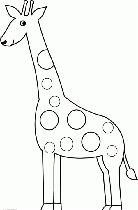 giraffe template  preschool giraffe coloring