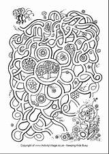 Maze Mazes Spring Puzzles Kids Flowers Flower Labyrinth Pages Activities Printable Coloring Activity Frühling Find Fun Labyrinthe Games Level School sketch template