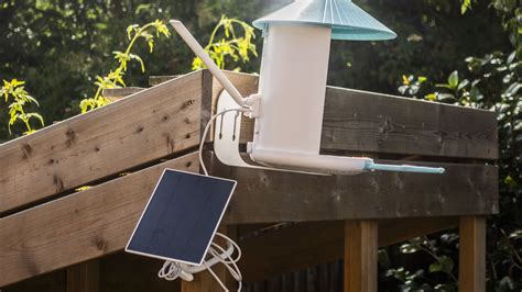 the best bird feeder camera in 2023 birdwatching at home techradar