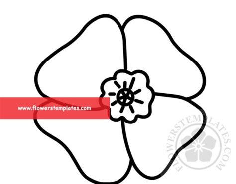 poppies flowers templates