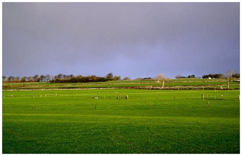 fields  athenry  heather  deviantart
