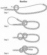 Bowline Knots Ropes Knot Tying sketch template