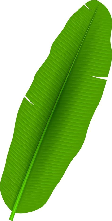 Banana Leaves Clipart Folha Estampada Molde Folhas En 2021 Hojas