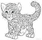 Cheetah Coloring Pages Cub Realistic Printable Color Print Getcolorings sketch template