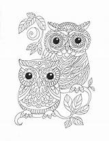 Coloring Kindle Book Amazon Artist Pages Irina Velman Adults Edition Owl Books Arts Photography sketch template